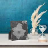 wilde narcis fotoplaat (Insitu)