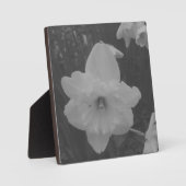 wilde narcis fotoplaat (Voorkant)