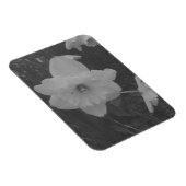 wilde narcis magneet (Rechterzijde)