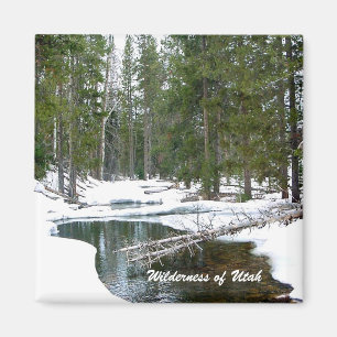 Wilde natuur van Utah Magneet