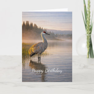 Wilde natuur Zandheuvelkraan Misty Lake Scène Verj Kaart