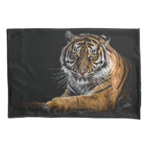 Wilde Oerwoud Dierlijke Tijger