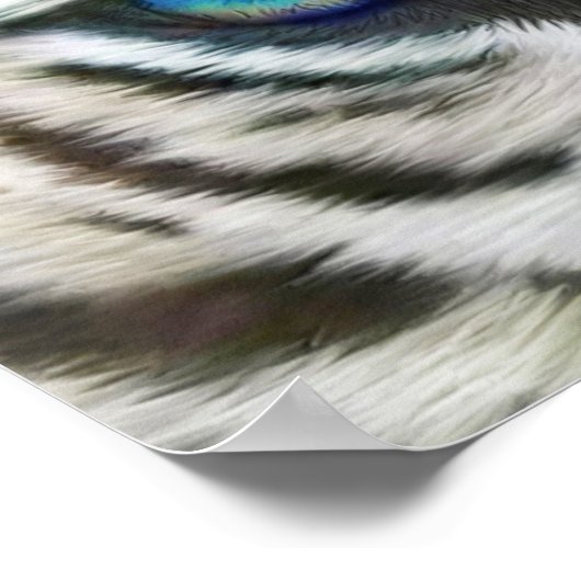 Wilde ogen - White Tiger Art Poster of Print (Hoek)