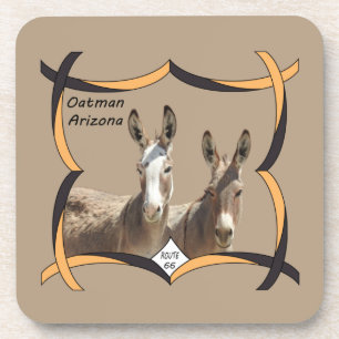 Wilde onderzetters, ezels, Oatman, Arizona Bier Onderzetter