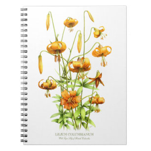 Wilde Oranje tijgerlelie Bloemen Botanisch Ontwerp Notitieboek