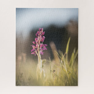 Wilde Orchidee Natuurfoto Legpuzzel