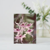 wilde orchideeën briefkaart (Staand voorkant)