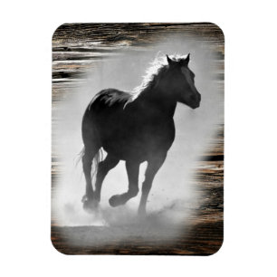 Wilde paard galopperen magneet