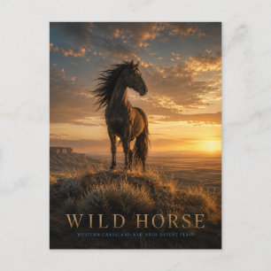 Wilde Paard Westelijke Grasland DIEREN Briefkaart