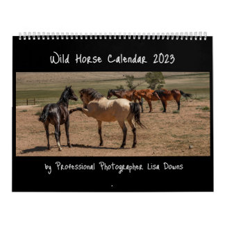 Wilde paarden 2023 kalender
