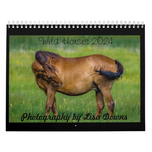 Wilde Paarden 2024 Kalender (Hoes)