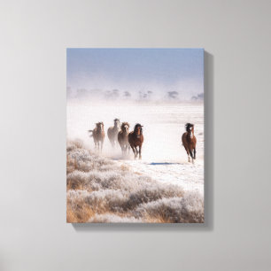 Wilde Paarden Besneeuwde Vlakte Winter Kunst Canvas Afdruk
