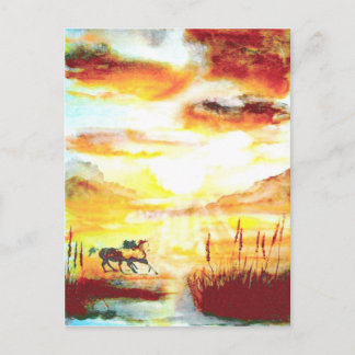 Wilde paarden. briefkaart