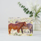 Wilde paarden briefkaart (Staand voorkant)