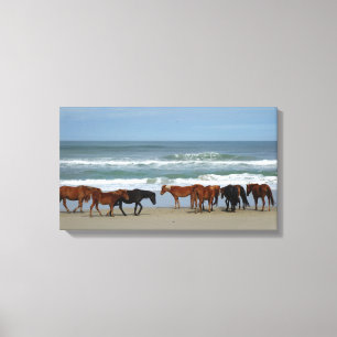 Wilde paarden Buitenter Banks NC Canvas Afdruk