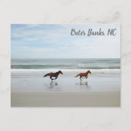 Wilde paarden Buitenter Banks OBX Corolla NC Briefkaart
