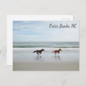 Wilde paarden Buitenter Banks OBX Corolla NC Briefkaart (Voorkant / Achterkant)