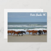 Wilde paarden Buitenter Banks OBX Corolla NC Briefkaart (Voorkant / Achterkant)