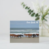 Wilde paarden Buitenter Banks OBX Corolla NC Briefkaart (Staand voorkant)