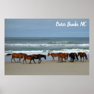 Wilde paarden Buitenter Banks OBX Corolla NC Poster
