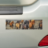 Wilde paarden bumpersticker (Op auto)