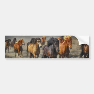 Wilde paarden bumpersticker