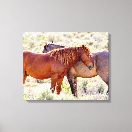 Wilde paarden canvas afdruk (Voorkant)