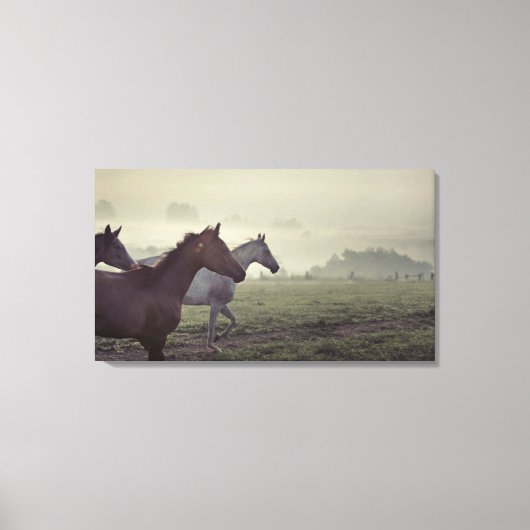 Wilde paarden canvas afdruk (Voorkant)