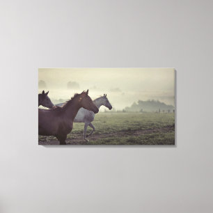 Wilde paarden canvas afdruk