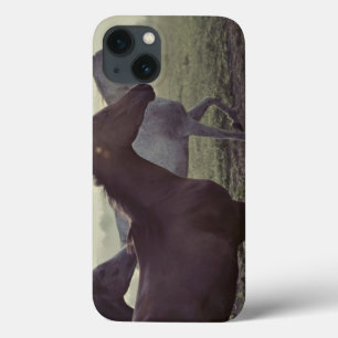 Wilde paarden iPhone 13 hoesje