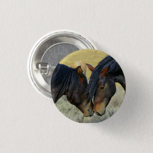 Wilde paarden die de Button van de Knoop aanraken