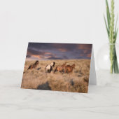 Wilde paarden die lopen kaart (Voorkant)