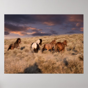 Wilde paarden die lopen poster