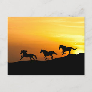 Wilde paarden die op de Design van de Sunset-Horse Briefkaart