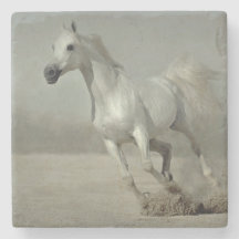 Wilde paarden die vrij lopen