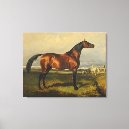  wilde paarden door Alfred de Dreux Canvas Afdruk (Voorkant)