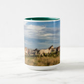 Wilde paarden in het Nationaal Park Theodore Roose Mok (Midden)