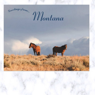 Wilde paarden in Montana Briefkaart