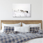 Wilde paarden in sneeuw single canvas afdruk (Insitu (Slaapkamer))