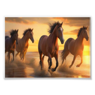 Wilde Paarden in Sunset Splendor Foto Afdruk