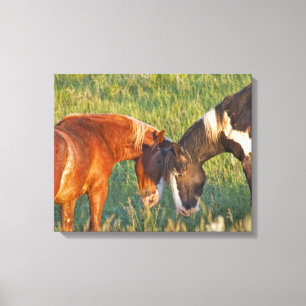 Wilde paarden in Theodore Roosevelt National Park Canvas Afdruk