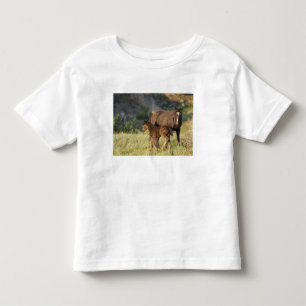 Wilde paarden in Theodore Roosevelt National Park Kinder Shirts