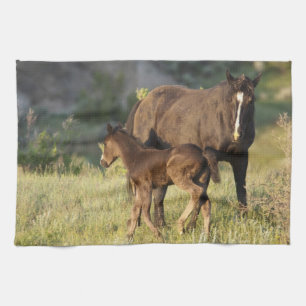 Wilde paarden in Theodore Roosevelt National Park Theedoek