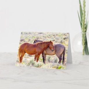 Wilde paarden kaart