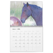 Wilde paarden, kalender (Mar 2026)