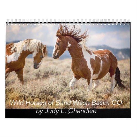Wilde paarden kalender (Hoes)