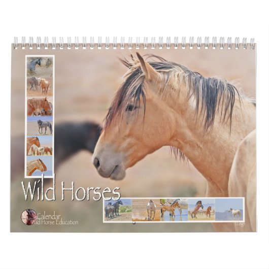 Wilde paarden (kalender) kalender (Hoes)