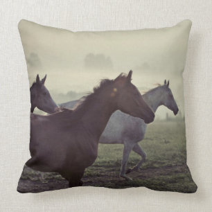 Wilde paarden kussen
