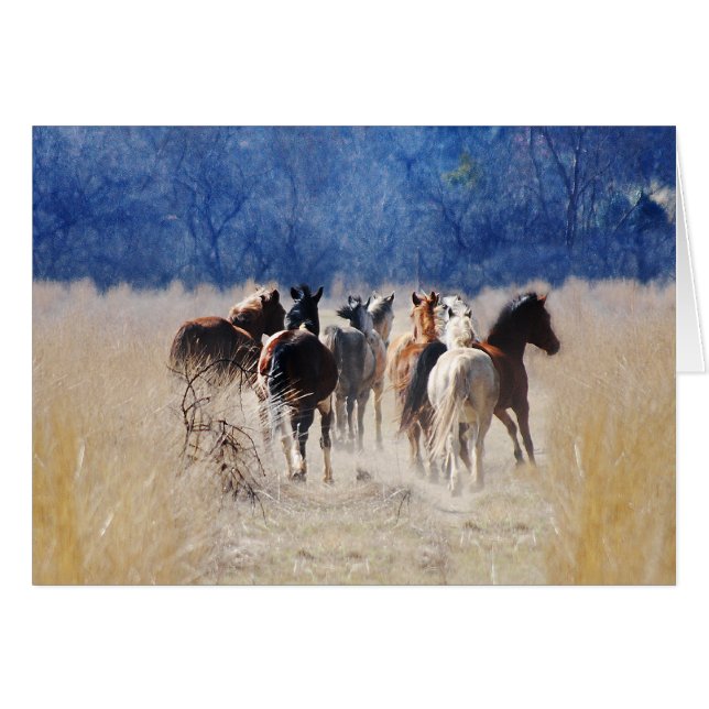 Wilde paarden lopen (Voorkant Horizontaal)
