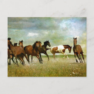 Wilde paarden lopen -  creatieve kunst briefkaart